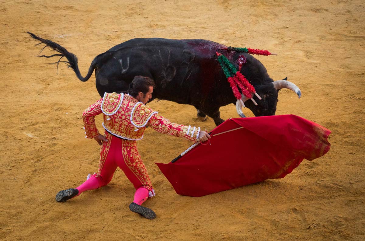 Portentosa actuación del granadino 'El Fandi0', a hombros con Julián López 'El Juli' en tarde de claroscuros de 'Morante de la Puebla'