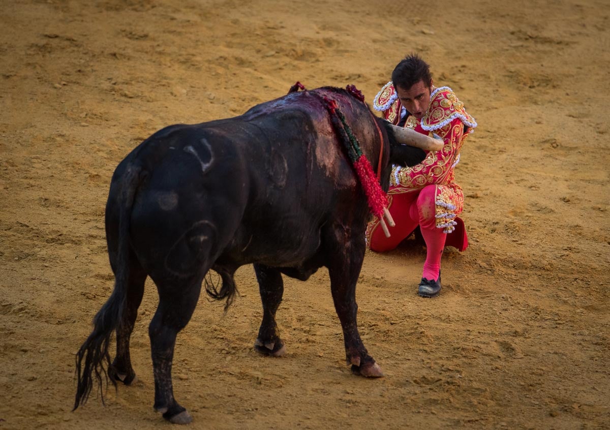 Portentosa actuación del granadino 'El Fandi0', a hombros con Julián López 'El Juli' en tarde de claroscuros de 'Morante de la Puebla'