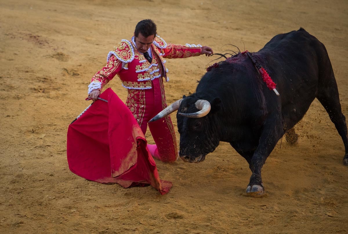 Portentosa actuación del granadino 'El Fandi0', a hombros con Julián López 'El Juli' en tarde de claroscuros de 'Morante de la Puebla'