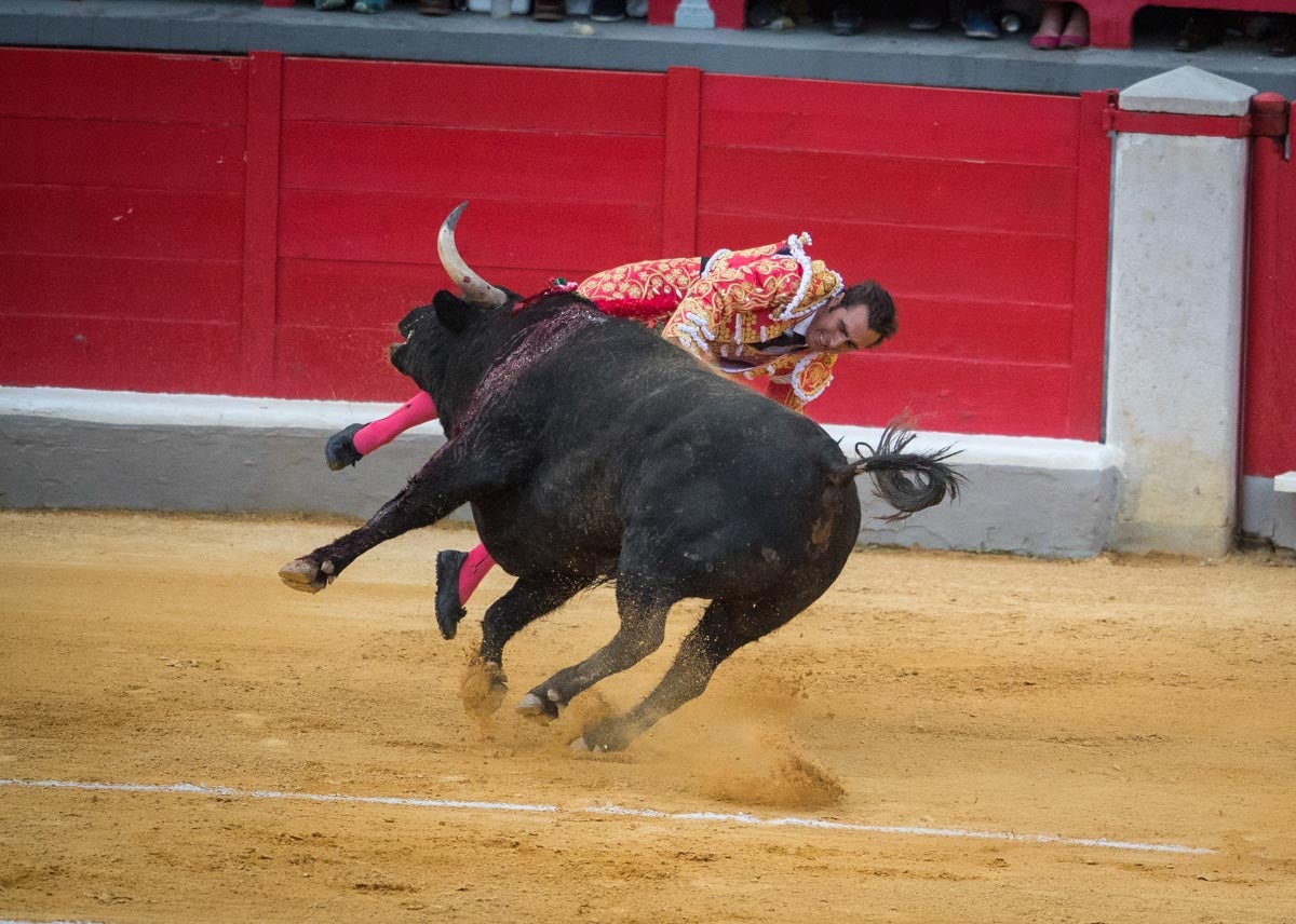 Portentosa actuación del granadino 'El Fandi0', a hombros con Julián López 'El Juli' en tarde de claroscuros de 'Morante de la Puebla'