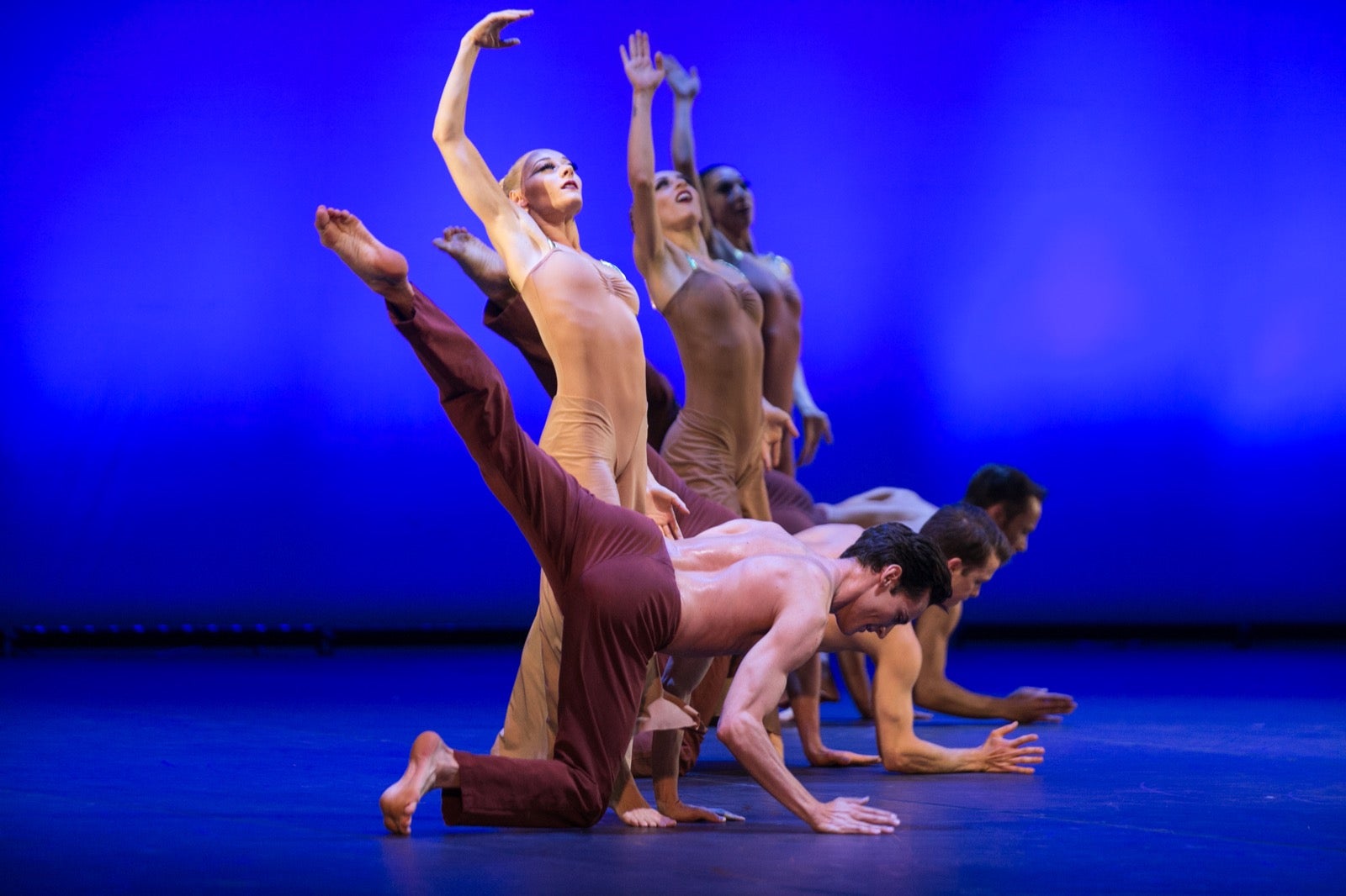 La famosa compañía de danza recordó anoche a la artista de Pensilvania con cuatro de sus más brillantes coreografías
