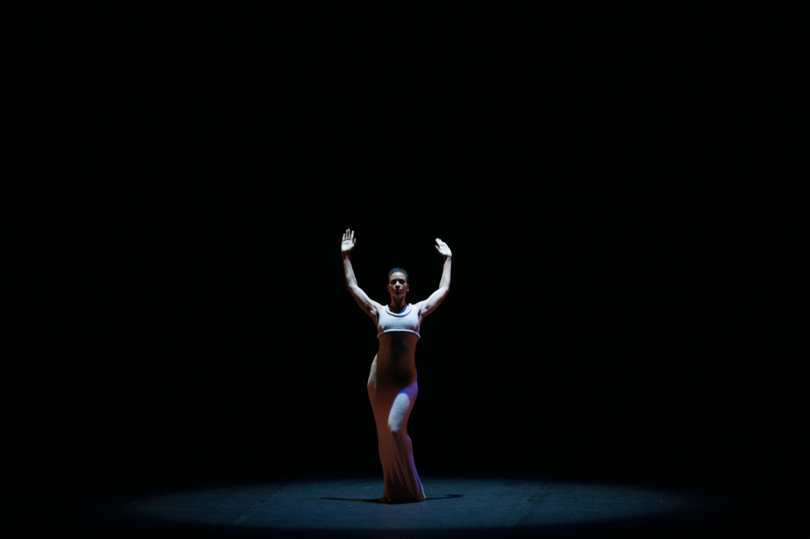 La famosa compañía de danza recordó anoche a la artista de Pensilvania con cuatro de sus más brillantes coreografías