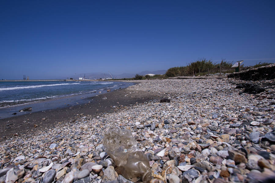 La pasada primavera había 206 partículas de microplásticos por metro cuadrado en esta playa, los expertos apuntan que son valores medio altos