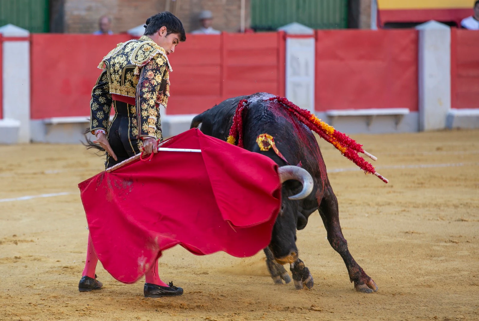 Borja Collado y Miguel Aguilar ponen broche triunfal a la feria del Corpus. El bastetano Aquilino Girón, que cortó una oreja y acreditó sobrado valor, acabó en la enfermería con una lesión en la rodilla