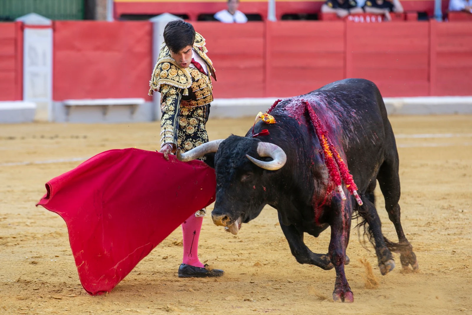 Borja Collado y Miguel Aguilar ponen broche triunfal a la feria del Corpus. El bastetano Aquilino Girón, que cortó una oreja y acreditó sobrado valor, acabó en la enfermería con una lesión en la rodilla