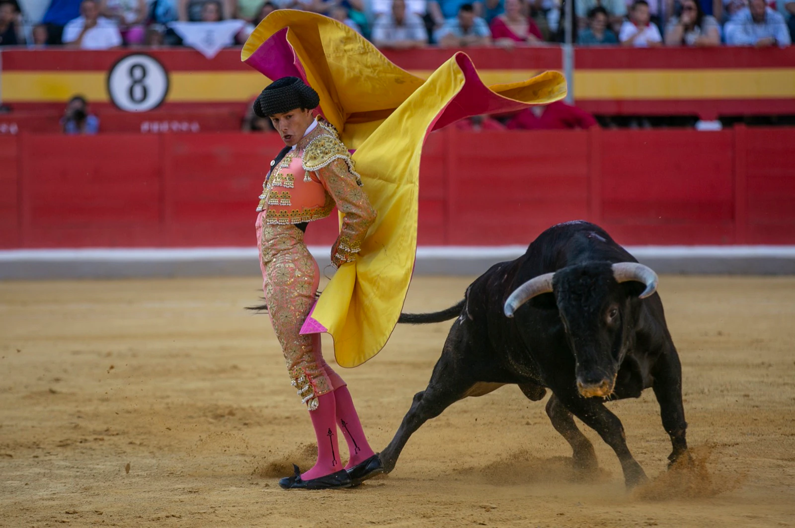 Borja Collado y Miguel Aguilar ponen broche triunfal a la feria del Corpus. El bastetano Aquilino Girón, que cortó una oreja y acreditó sobrado valor, acabó en la enfermería con una lesión en la rodilla