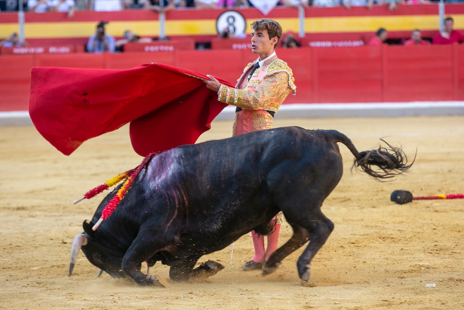 Borja Collado y Miguel Aguilar ponen broche triunfal a la feria del Corpus. El bastetano Aquilino Girón, que cortó una oreja y acreditó sobrado valor, acabó en la enfermería con una lesión en la rodilla