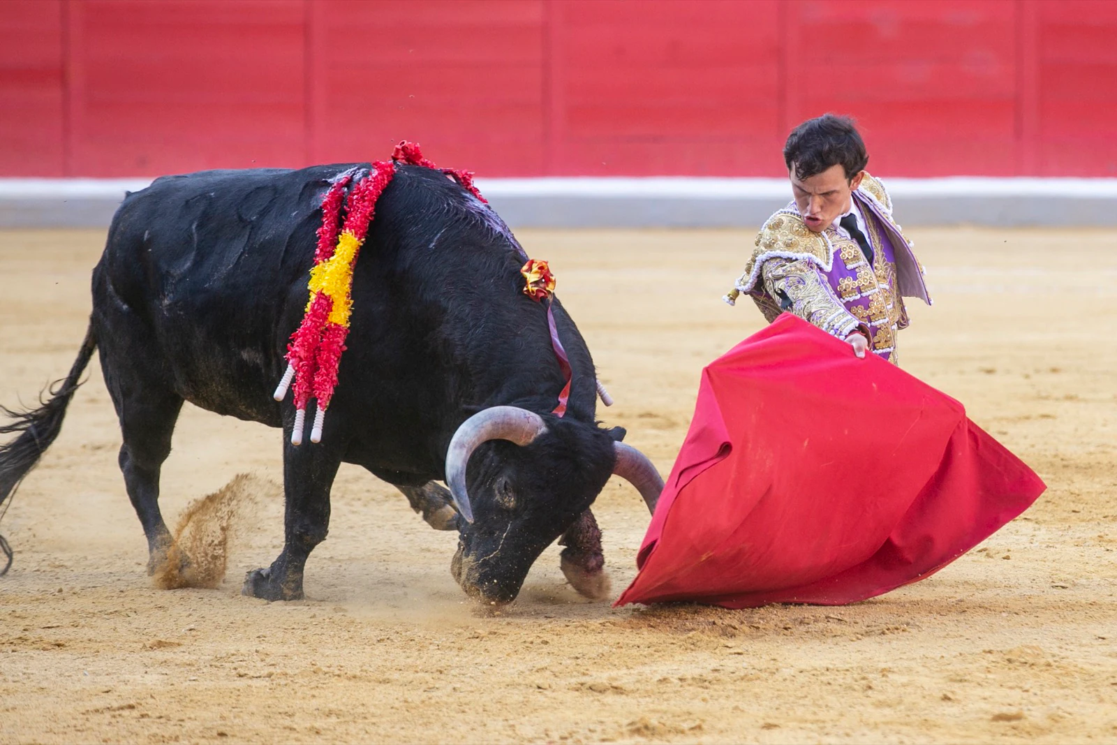 Borja Collado y Miguel Aguilar ponen broche triunfal a la feria del Corpus. El bastetano Aquilino Girón, que cortó una oreja y acreditó sobrado valor, acabó en la enfermería con una lesión en la rodilla