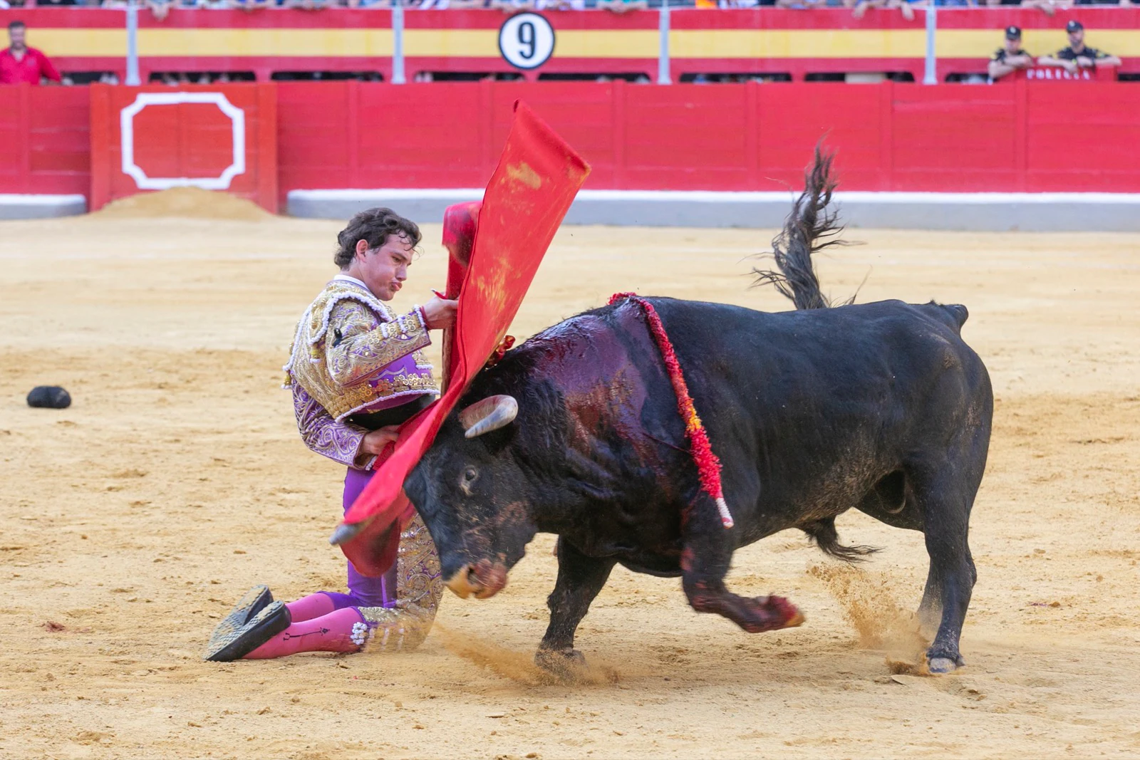 Borja Collado y Miguel Aguilar ponen broche triunfal a la feria del Corpus. El bastetano Aquilino Girón, que cortó una oreja y acreditó sobrado valor, acabó en la enfermería con una lesión en la rodilla