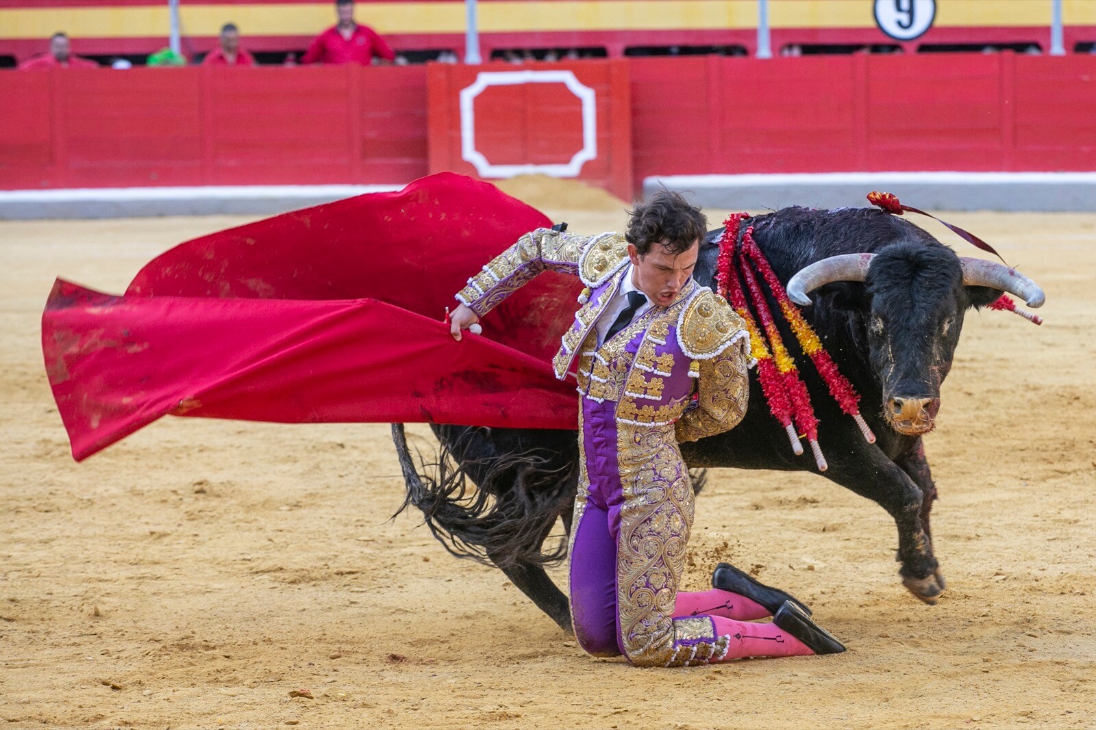 Borja Collado y Miguel Aguilar ponen broche triunfal a la feria del Corpus. El bastetano Aquilino Girón, que cortó una oreja y acreditó sobrado valor, acabó en la enfermería con una lesión en la rodilla