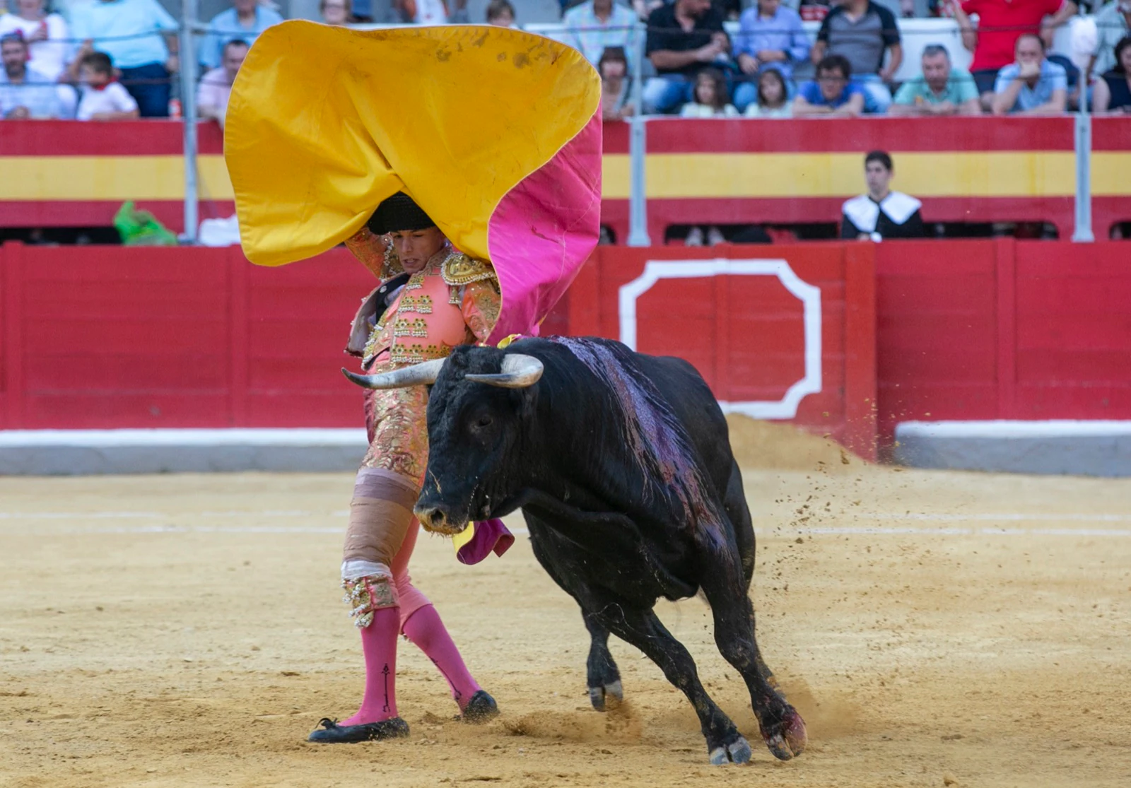 Borja Collado y Miguel Aguilar ponen broche triunfal a la feria del Corpus. El bastetano Aquilino Girón, que cortó una oreja y acreditó sobrado valor, acabó en la enfermería con una lesión en la rodilla