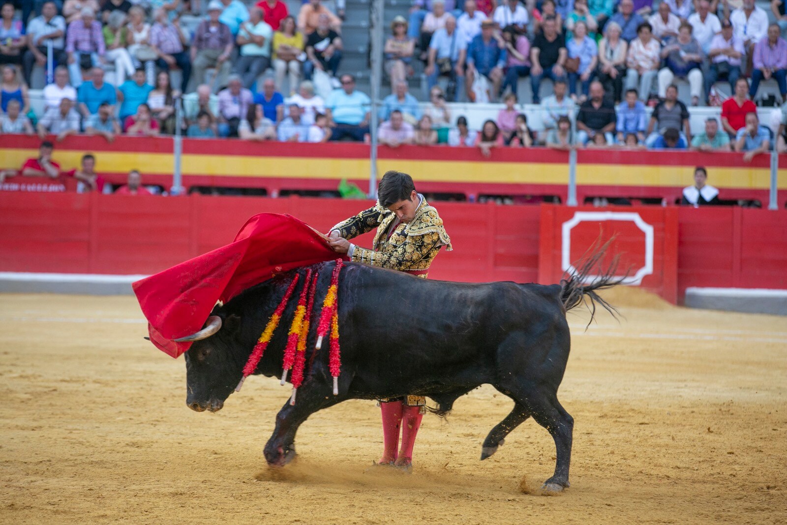 Borja Collado y Miguel Aguilar ponen broche triunfal a la feria del Corpus. El bastetano Aquilino Girón, que cortó una oreja y acreditó sobrado valor, acabó en la enfermería con una lesión en la rodilla