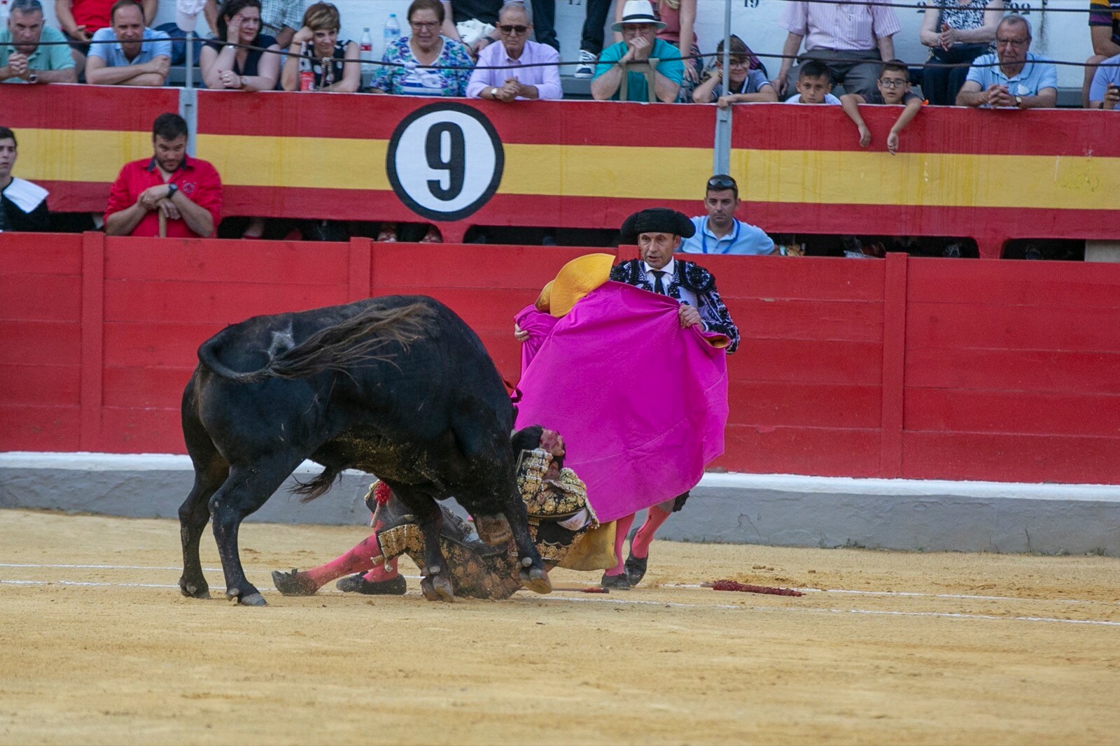 Borja Collado y Miguel Aguilar ponen broche triunfal a la feria del Corpus. El bastetano Aquilino Girón, que cortó una oreja y acreditó sobrado valor, acabó en la enfermería con una lesión en la rodilla