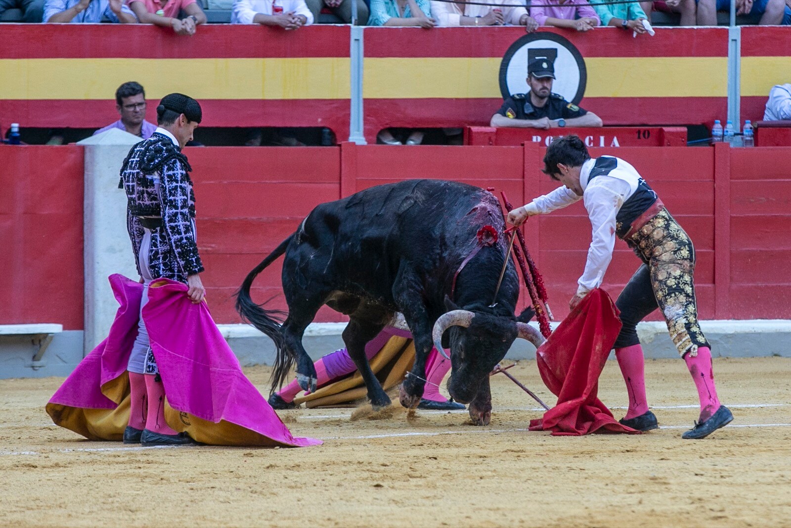 Borja Collado y Miguel Aguilar ponen broche triunfal a la feria del Corpus. El bastetano Aquilino Girón, que cortó una oreja y acreditó sobrado valor, acabó en la enfermería con una lesión en la rodilla