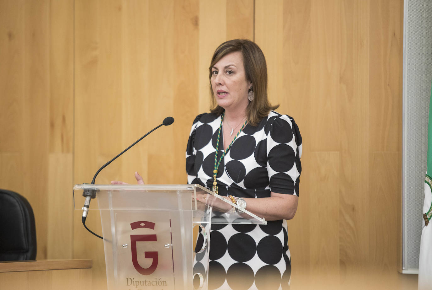 José Entrena ha sido reelegido presidente contando con los votos de PSOE, Adelante, IU y Cs