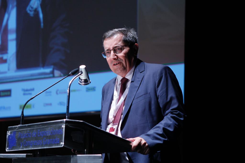 El presidente de la Diputación de Granada, José Entrena