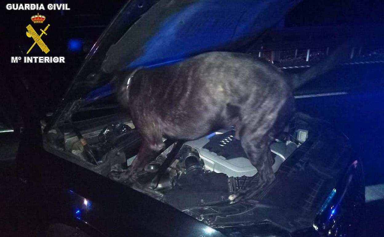 Sorprendidos con más de cuatro kilos de hachís en el coche en Villanueva Mesía