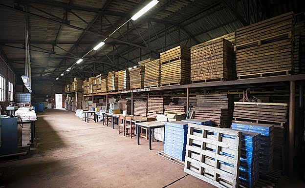 Se conservan muestras de más de dos mil sondeos.