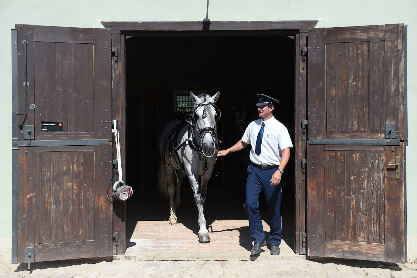 15. Kladruby nad Labem (Repúbilca Checa): El paisaje de crianza y doma de caballos de tiro ceremoniales en Kladruby nad Labem, en Chequia, es uno de los criaderos de caballos más reputados del planeta.