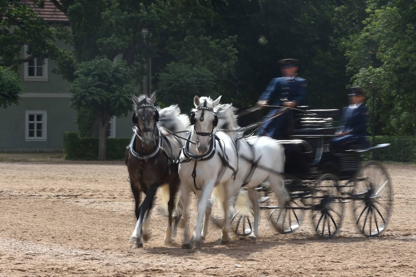 15. Kladruby nad Labem (Repúbilca Checa): El paisaje de crianza y doma de caballos de tiro ceremoniales en Kladruby nad Labem, en Chequia, es uno de los criaderos de caballos más reputados del planeta.