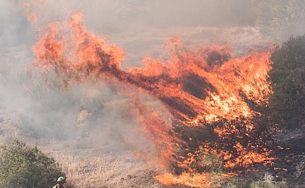Granada capital sufrió ayer un incendio en la zona de San Miguel