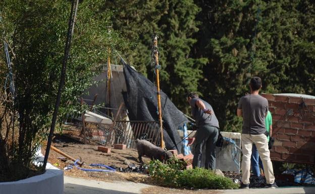Búsqueda. La Unidad Canina de la Guardia Civil, durante el registro de la vivienda en Arenas