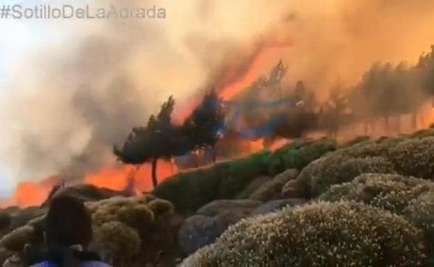 Captura de un video de las Brigadas de Refuerzo de Incendios Forestales (BRIF), del incendio declarado este sábado en Sotillo de la Adrada (Ávila) 