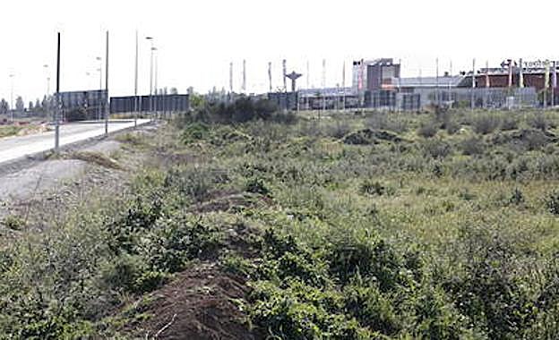 Imagen de archivo de los terrenos de Pulianas, una parcela de más de 30.000 metros cuadrados, en los que puso la vista Ikea. 