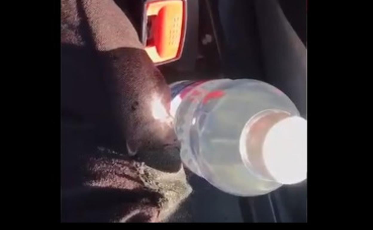 La Policía Local de Granada alerta del peligro de dejar una botella en el coche en verano