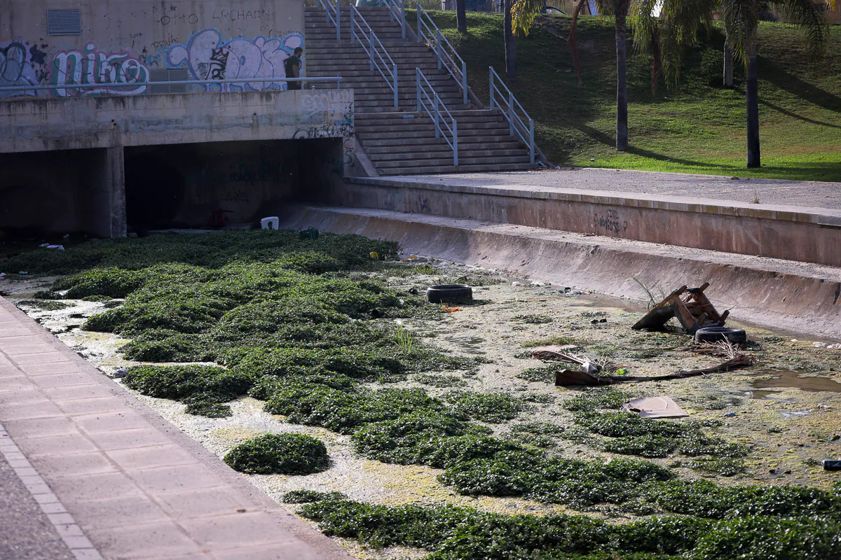 Fotos: La gran suciedad en el parque de las Provincias de Motril