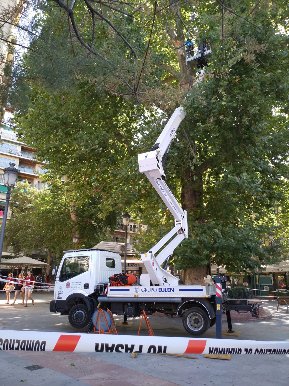 Fotos: Así está la Fuente de las Batallas horas después de la caída de una rama