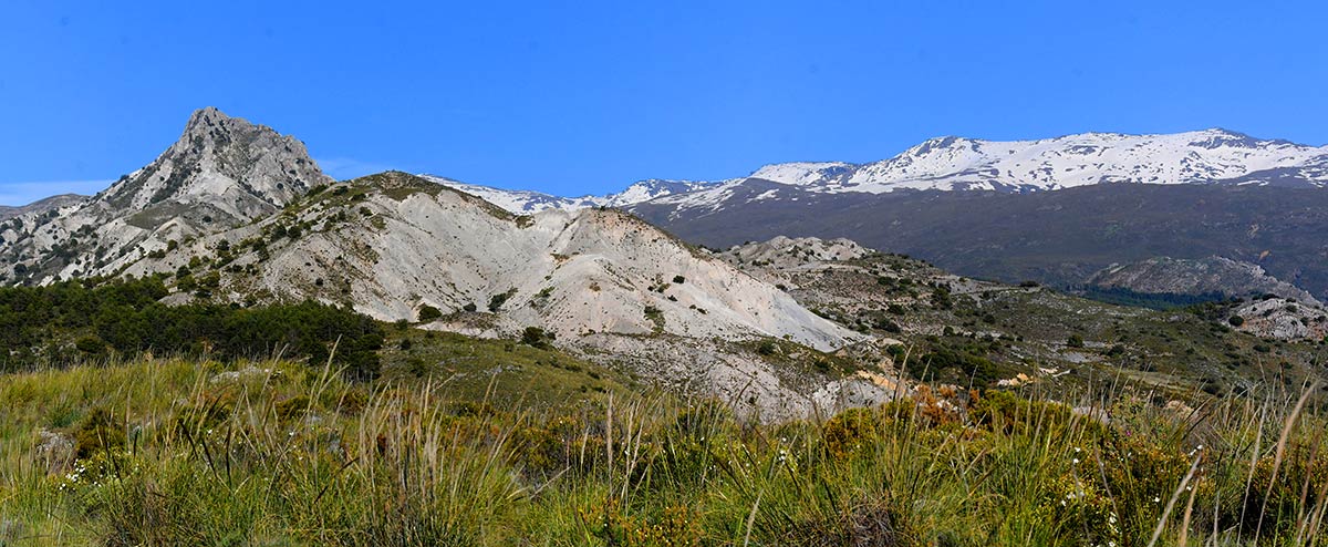 Sierra Nevada emergió de las aguas y convirtió sus laderas en la frontera sur del nuevo continente europeo. Especies marinas vivieron en charcas de marea que se extendían desde el valle de Lecrín hasta las puertas de Granada 