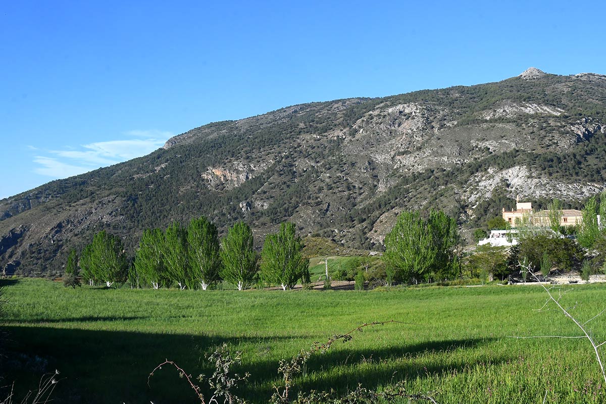 Sierra Nevada emergió de las aguas y convirtió sus laderas en la frontera sur del nuevo continente europeo. Especies marinas vivieron en charcas de marea que se extendían desde el valle de Lecrín hasta las puertas de Granada 