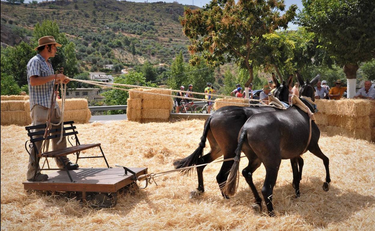 Lanjarón celebrará este fin de semana la Fiesta de la Parva en la era comunal del río