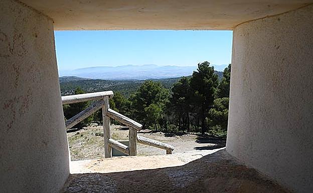 Imagen principal - Desde el interior de la caseta de observación | fuente de la Taza en el sendero | Paseo entre grandes pinos 