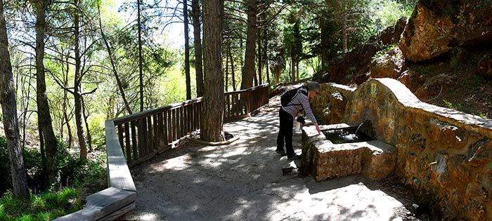 La sierra de Baza mantiene ecosistemas imposibles a solo un paso de la aridez del altiplano, rberas, barrancos trazados por el agua que genera bosques de galería, bosquetes autóctonos y prados de alta montaña en la antesala nevadense