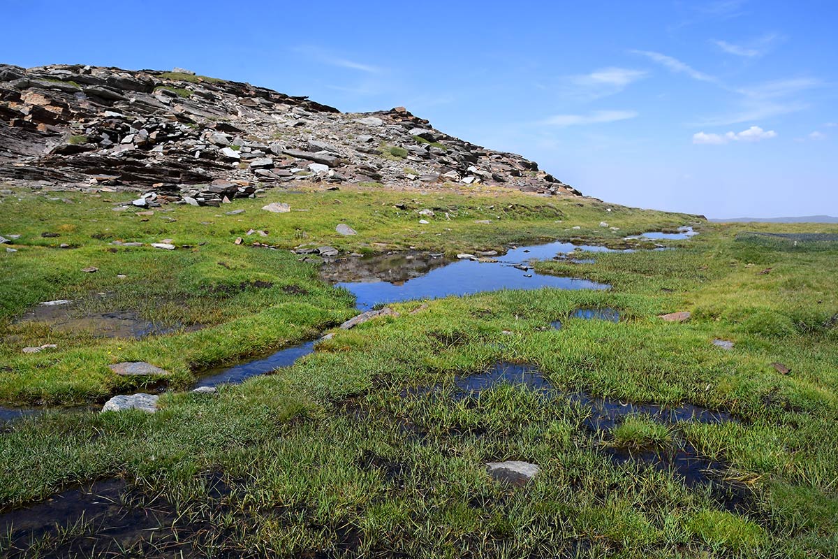 Desde los borreguiles donde nace el río San Juan hacia los tajos de la Mora, el agua camina entre pastizales y pedregales