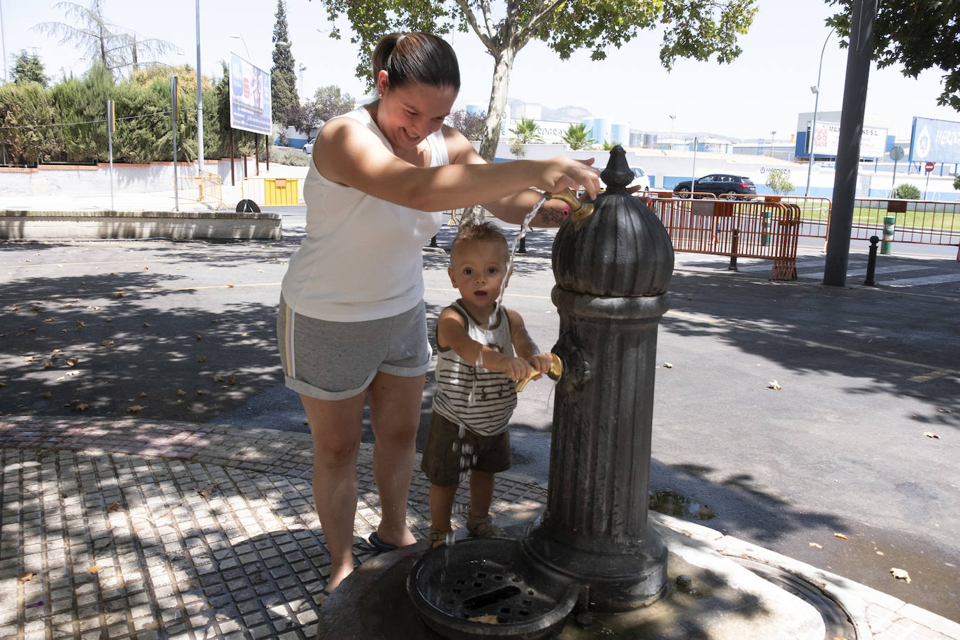 Albolote celebra su tradicional comida de homenaje a los mayores