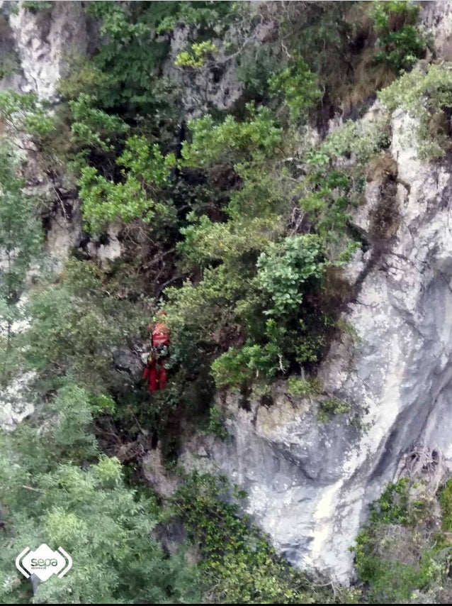 El Grupo de Rescate de Bomberos del SEPA ha rescatado ileso a un montañero de 23 años que se precipitó unos treinta metros cuando realizaba la ruta del Cares en la zona de la canal de Sabugo, en Cabrales. El hombre quedó colgado de un árbol y tardaron tres horas en localizarlo.