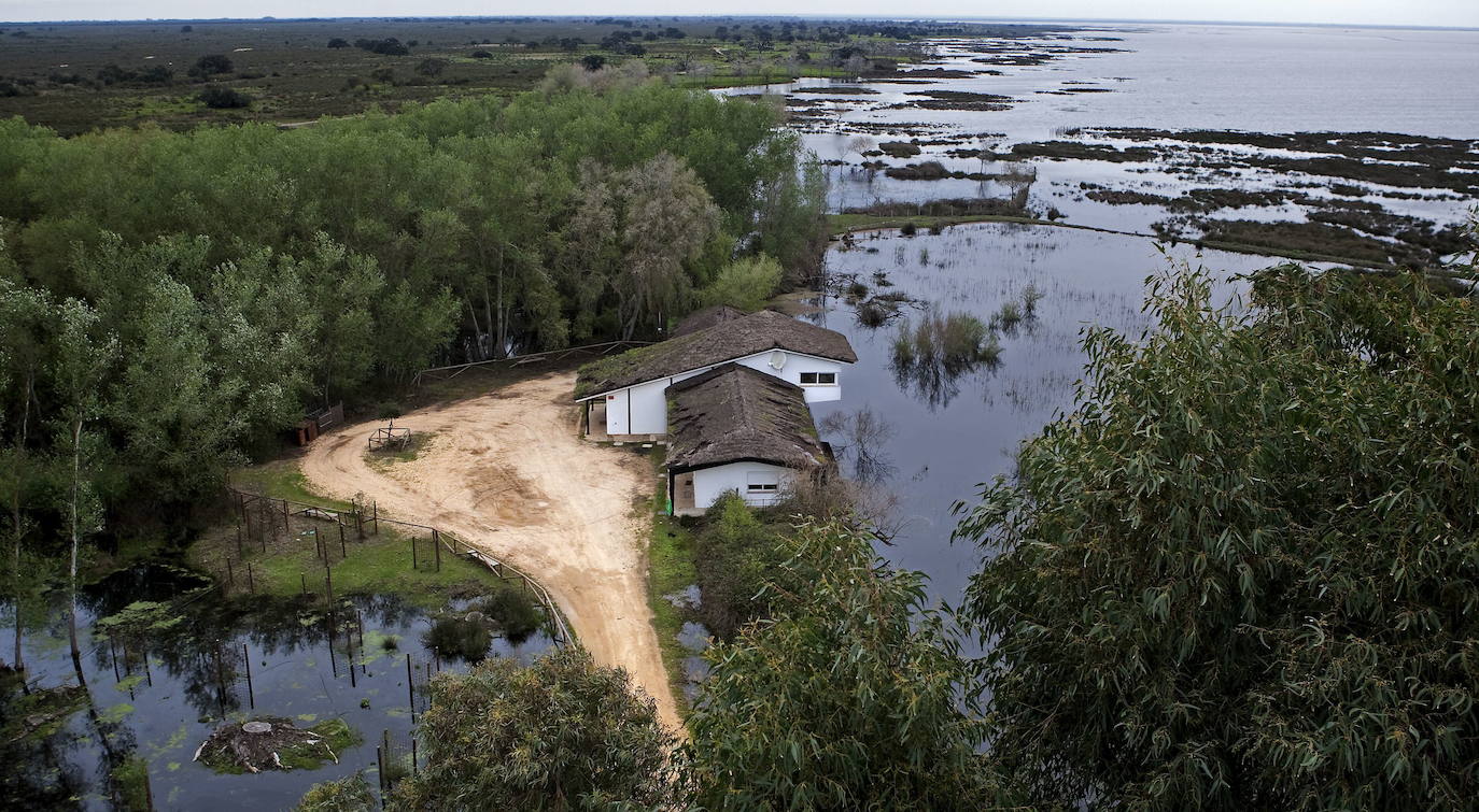 2. Parque Nacional de Doñana (Andalucía)