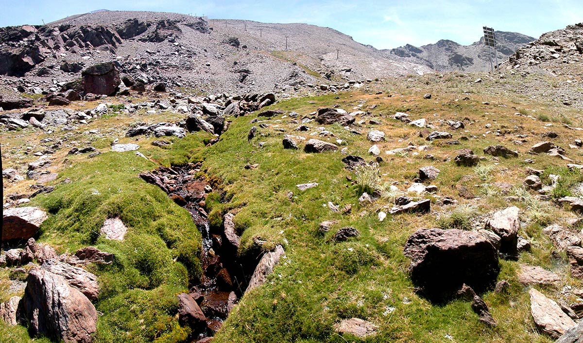 Los lagunillos de Virgen concentran el agua del deshielo de Sierra Nevada para dar vida al río y los pastos altos de Dílar, las turberas de altas cumbres generan paisajes únicos donde se concentra la biodiversidad nevadense