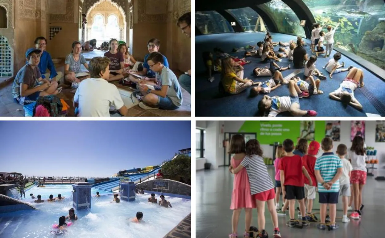Planes con niños en Granada: 6 propuestas divertidas y educativas para el verano