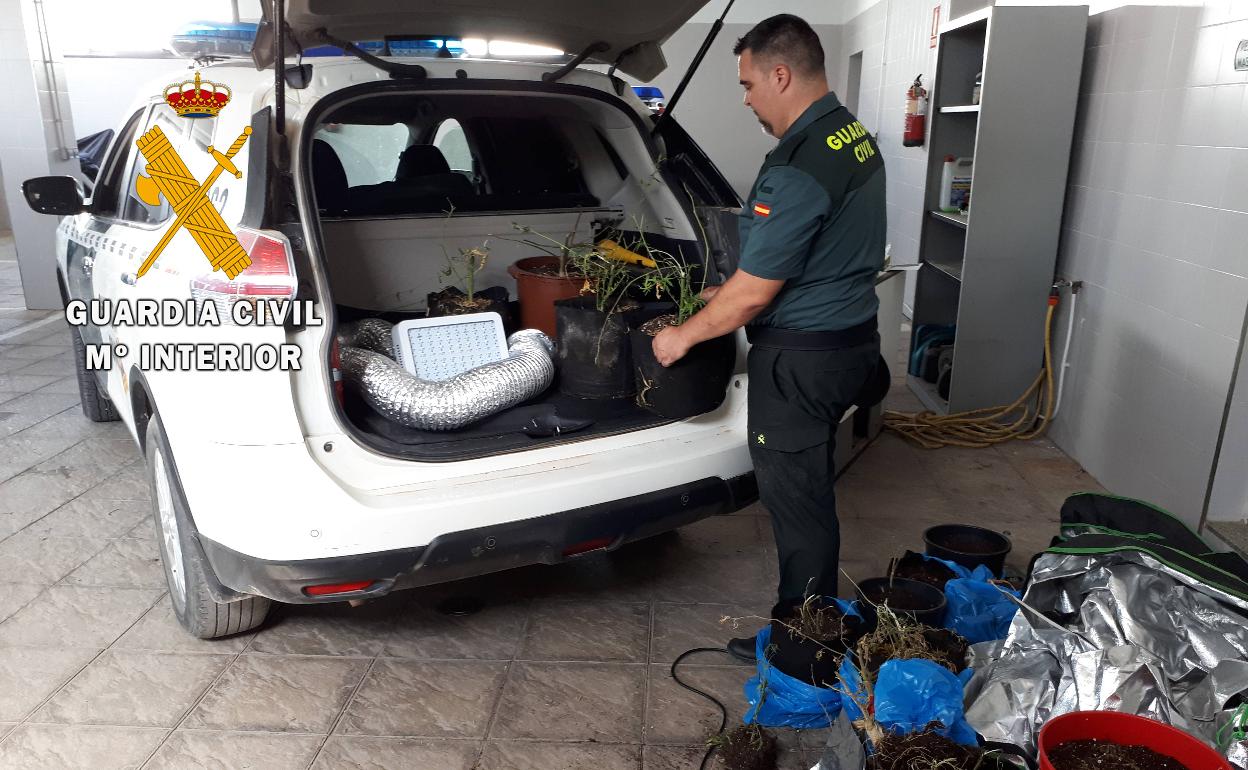 Drogas En Almería Una Disputa Familiar Termina Con La Detención De Dos Personas Por Cultivo De 3170