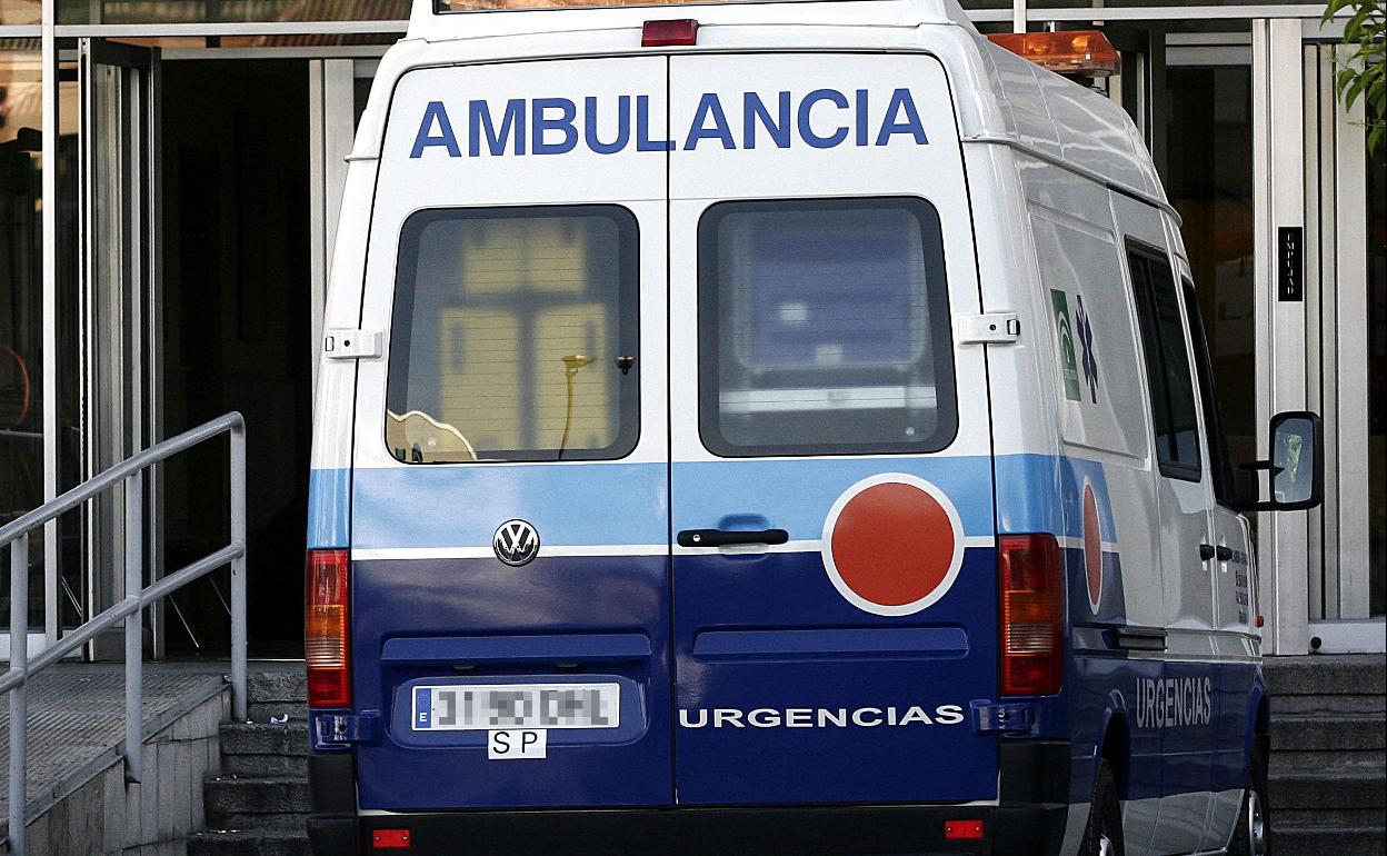 Suceso en Granada | Fallece un joven de 18 años al caerle una máquina cuando trabajaba en una nave en Padul