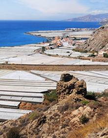 Imagen secundaria 2 - Castillo de La Rábita, Castillo de Baños y Castillo de Huarea 