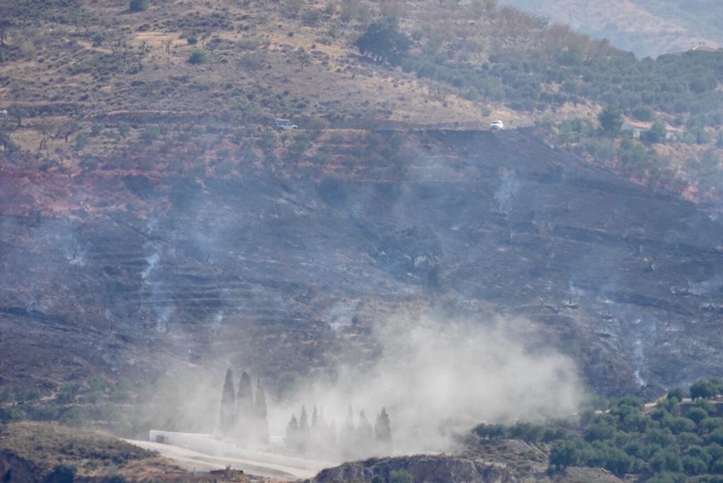 Así han actuado los dispositivos del plan Infoca en el incendio forestal de Pinos del Valle