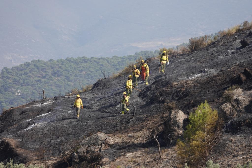 Así han actuado los dispositivos del plan Infoca en el incendio forestal de Pinos del Valle