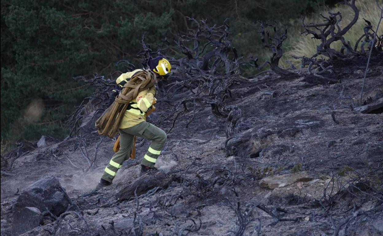 Incendio en Granada, Sierra Nevada: arrasa 2,5 hectáreas e investigan las causas