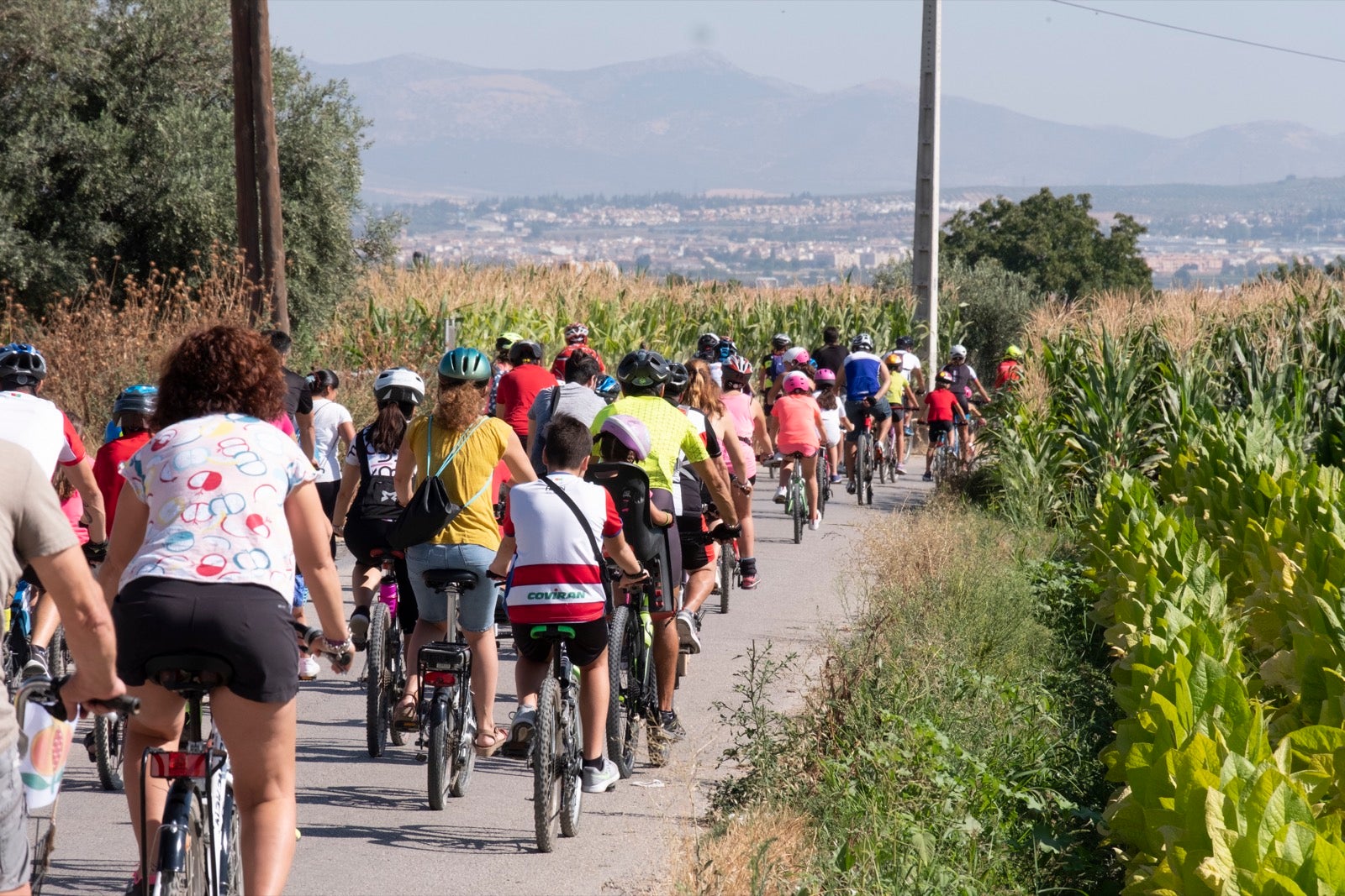 Decenas de personas de todas las edades participan en la XXVII edición del Día de la Bicicleta en Cúllar Vega