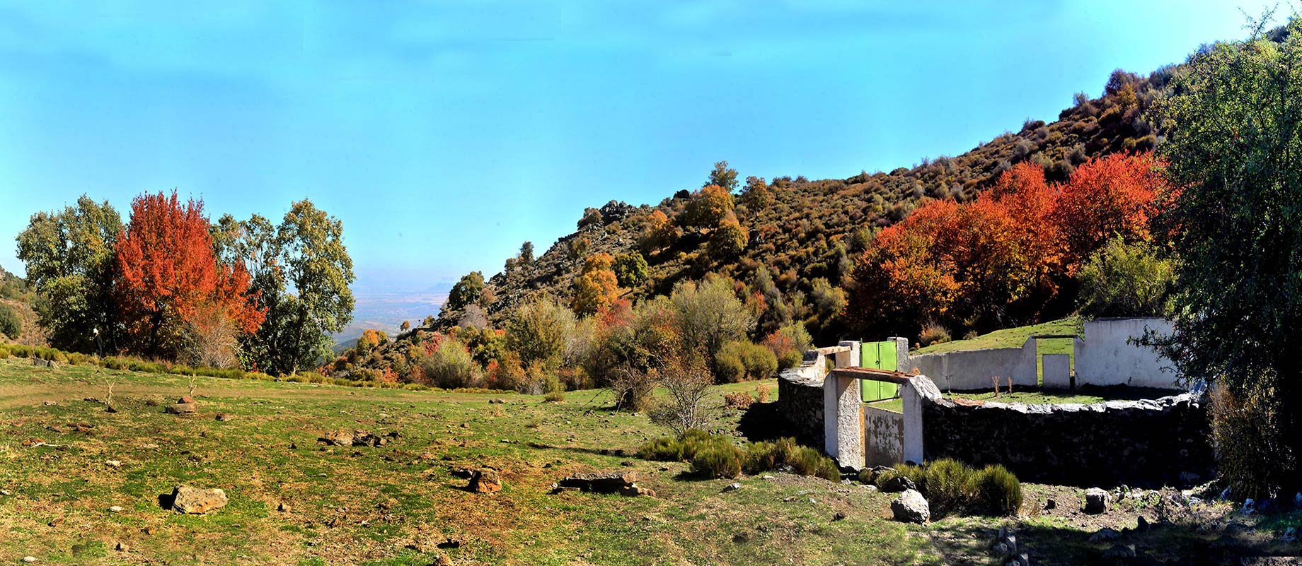 Dehesa del Camarate. Elementos del paisaje y biodiversidad que se han convertido en la imagen más representativa de la montaña nevadense